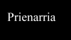 Prienarria Faschingsgesellschaft e.V.  Prien am Chiemsee